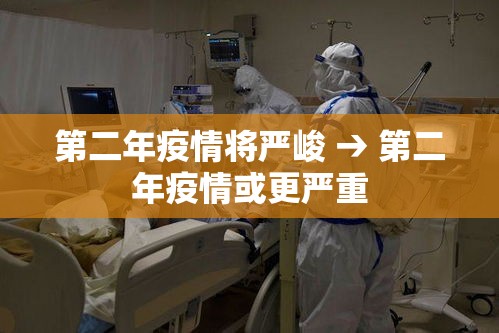 第二年疫情将严峻 → 第二年疫情或更严重