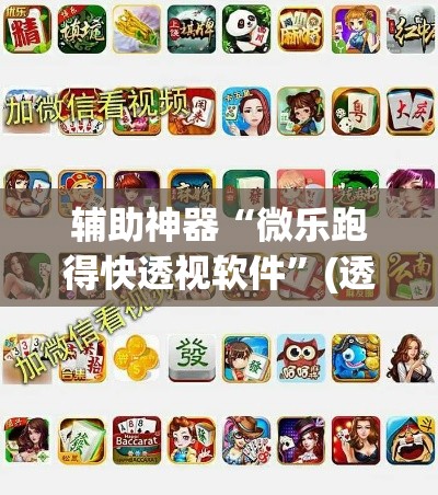 辅助神器“微乐跑得快透视软件”(透视)其实确实有挂