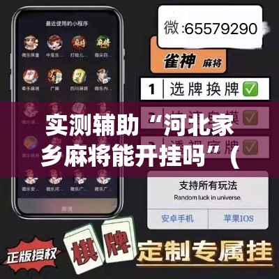 实测辅助“河北家乡麻将能开挂吗	”(透视)其实确实有挂