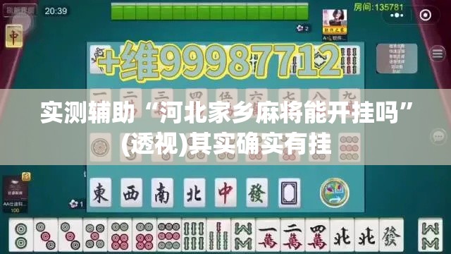 实测辅助“河北家乡麻将能开挂吗”(透视)其实确实有挂