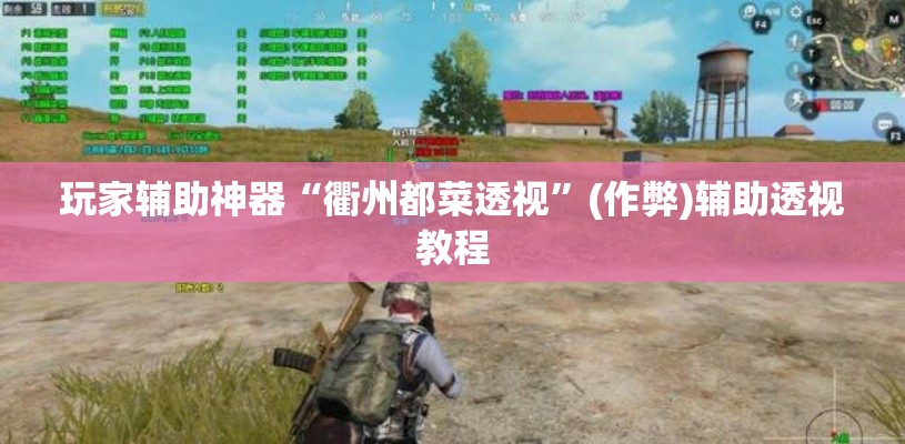 玩家辅助神器“衢州都菜透视”(作弊)辅助透视教程
