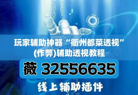 玩家辅助神器“衢州都菜透视”(作弊)辅助透视教程