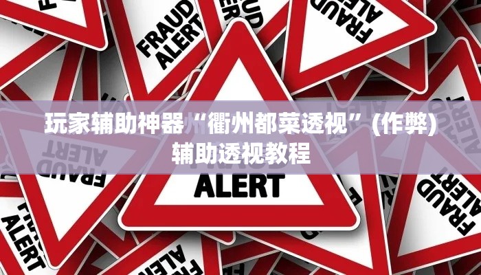 玩家辅助神器“衢州都菜透视	”(作弊)辅助透视教程
