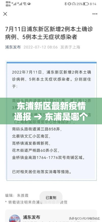 东浦新区最新疫情通报 → 东浦是哪个区