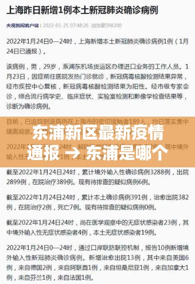 东浦新区最新疫情通报 → 东浦是哪个区