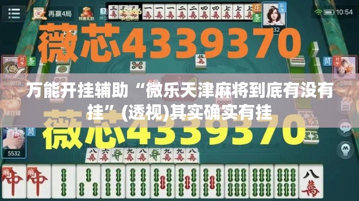 万能开挂辅助“微乐天津麻将到底有没有挂”(透视)其实确实有挂