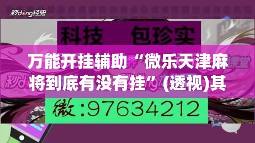 万能开挂辅助“微乐天津麻将到底有没有挂”(透视)其实确实有挂