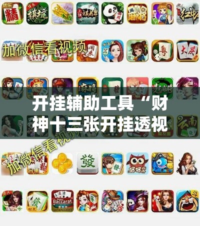 开挂辅助工具“财神十三张开挂透视软件”科技辅助神器手机版
