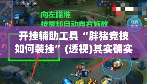 开挂辅助工具“胖猪竞技如何装挂”(透视)其实确实有挂