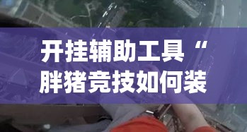 开挂辅助工具“胖猪竞技如何装挂”(透视)其实确实有挂