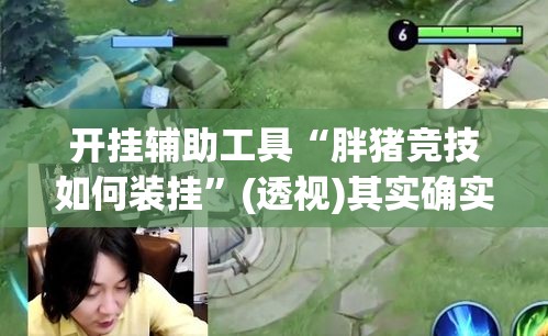 开挂辅助工具“胖猪竞技如何装挂”(透视)其实确实有挂