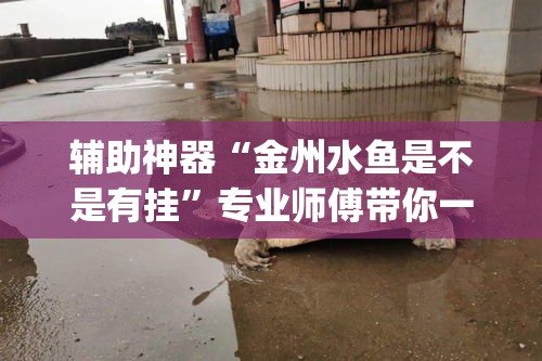 辅助神器“金州水鱼是不是有挂	”专业师傅带你一起了解(确实有挂