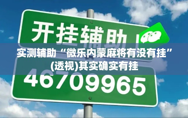 实测辅助“微乐内蒙麻将有没有挂”(透视)其实确实有挂