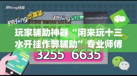 玩家辅助神器“闲来玩十三水开挂作弊辅助”专业师傅带你一起了解(确实有挂