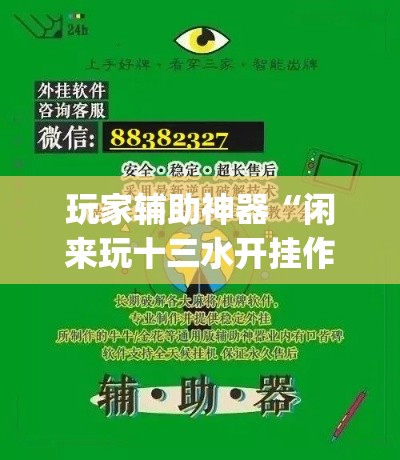 玩家辅助神器“闲来玩十三水开挂作弊辅助	”专业师傅带你一起了解(确实有挂