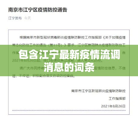 包含江宁最新疫情流调消息的词条