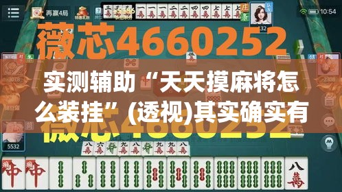 实测辅助“天天摸麻将怎么装挂”(透视)其实确实有挂