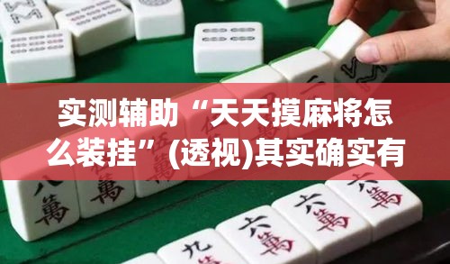 实测辅助“天天摸麻将怎么装挂”(透视)其实确实有挂