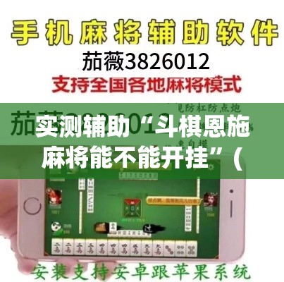 实测辅助“斗棋恩施麻将能不能开挂”(透视)其实确实有挂
