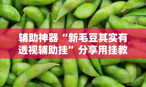 辅助神器“新毛豆其实有透视辅助挂	”分享用挂教程