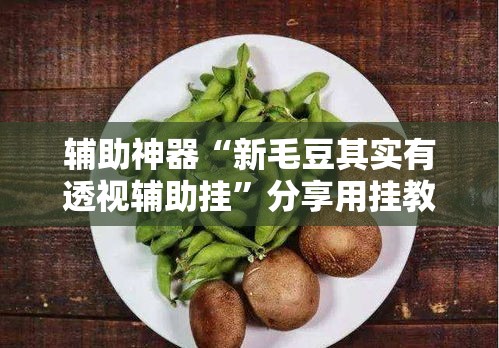 辅助神器“新毛豆其实有透视辅助挂”分享用挂教程