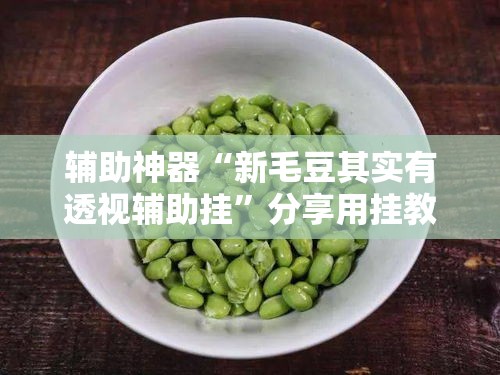 辅助神器“新毛豆其实有透视辅助挂	”分享用挂教程
