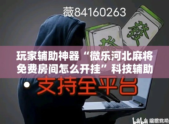 玩家辅助神器“微乐河北麻将免费房间怎么开挂	”科技辅助神器手机版