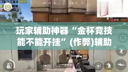 玩家辅助神器“金杯竞技能不能开挂”(作弊)辅助透视教程