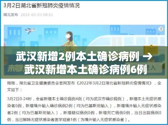 武汉新增2例本土确诊病例 → 武汉新增本土确诊病例6例 武汉新增2例本土确诊病例 → 武汉新增本土确诊病例6例