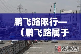 鹏飞路限行—（鹏飞路属于哪个区）
