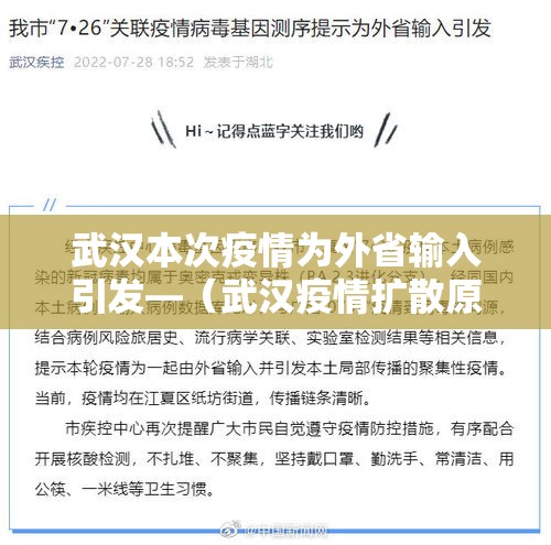 武汉本次疫情为外省输入引发—(武汉疫情扩散原因) 武汉本次疫情为外省输入引发—(武汉疫情扩散原因)