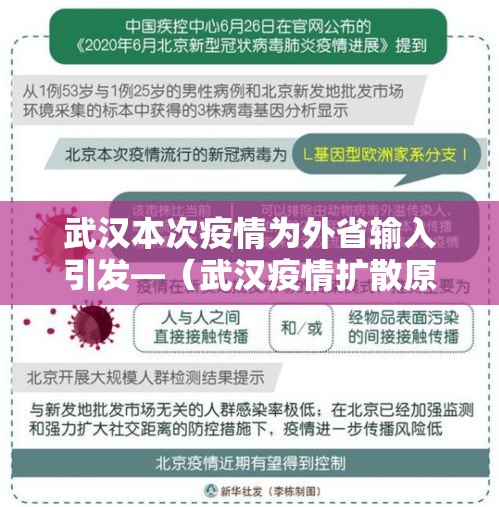 武汉本次疫情为外省输入引发—(武汉疫情扩散原因) 武汉本次疫情为外省输入引发—(武汉疫情扩散原因)