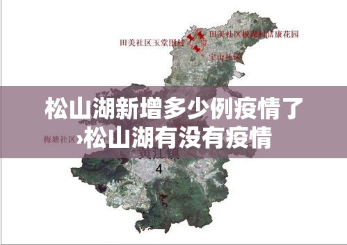 松山湖新增多少例疫情了›松山湖有没有疫情