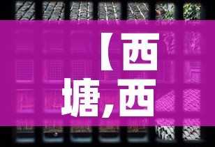 【西塘,西塘天气】