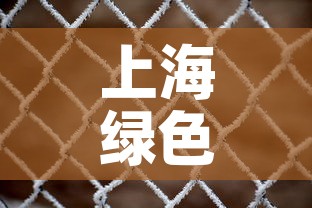 上海绿色铝合金价格网—（上海铝合金回收价格多少钱一斤）