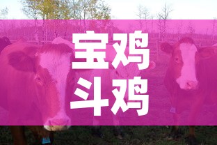 宝鸡斗鸡村最新疫情通报 → 宝鸡市斗鸡酒店