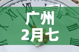广州2月七日新增疫情：广州2月七日新增疫情多少例