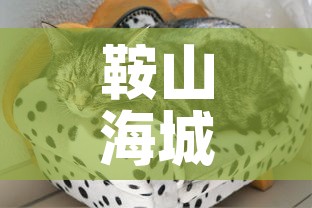 鞍山海城疫情最新动态 → 鞍山海城疫情最新动态实时