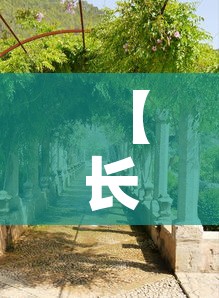 【长沙植物园店铺租金价格,长沙植物园多少钱一张门票】