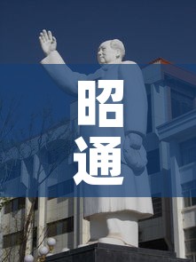 昭通—（昭通学院）