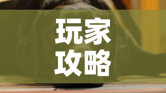 玩家攻略“微信斗牛房卡如何购买”房卡获取方式