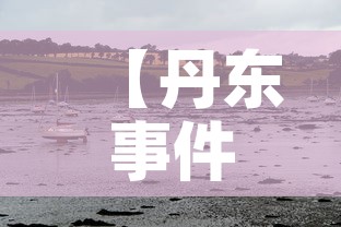 【丹东事件·历史丹东事件?】