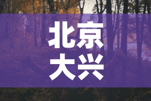 北京大兴：北京大兴精华学校