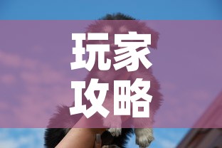 玩家攻略“斗牛房卡牛牛房卡	”购买房卡介绍