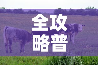 全攻略普及“微信牛牛群房间卡如何购买”轻松获取房卡全渠道