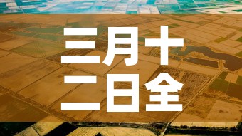 新河限行范围—(新河限号区域) 新河限行范围—(新河限号区域)