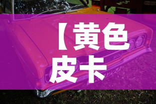 【黄色皮卡限行·皮卡限行区】 【黄色皮卡限行·皮卡限行区】
