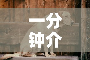 一分钟介绍使用“微信斗牛房卡购买渠道”房卡详细充值