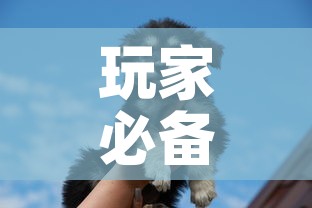 玩家必备教程“斗牛房卡牛牛房卡”详细房卡使用教程