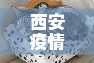 西安疫情的最新动态—(西安疫情的最新动态图) 西安疫情的最新动态—(西安疫情的最新动态图)